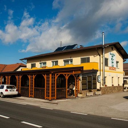 Spodnja Hajdina Guest House Celan מראה חיצוני תמונה