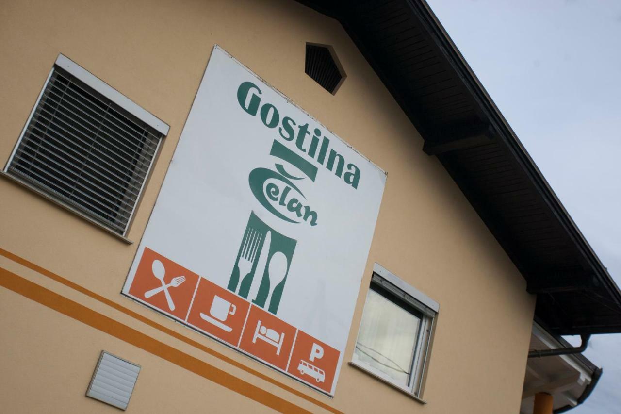 Spodnja Hajdina Guest House Celan מראה חיצוני תמונה