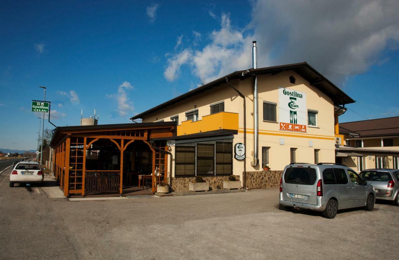 Spodnja Hajdina Guest House Celan מראה חיצוני תמונה